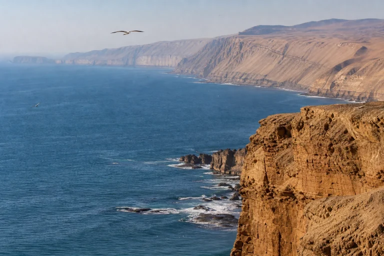 Desert coastline and Pacific Ocean on a day trip from Lima