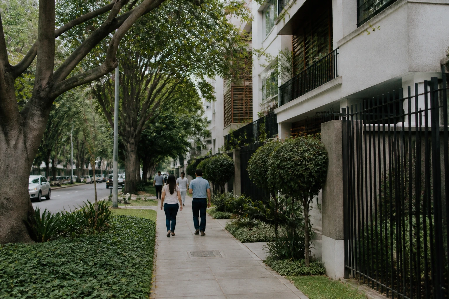 Leafy urban avenue in San Isidro, Lima